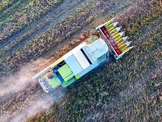 Industriezentrifuge Agrarindustrie